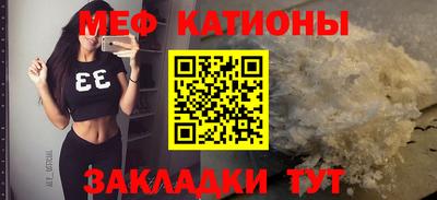 индика Дубна
