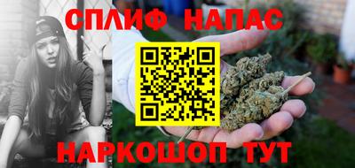 индика Дубна