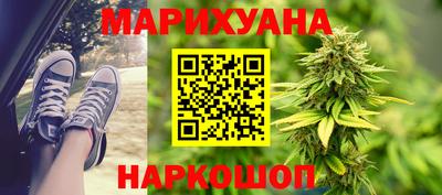индика Дубна