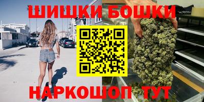 индика Дубна