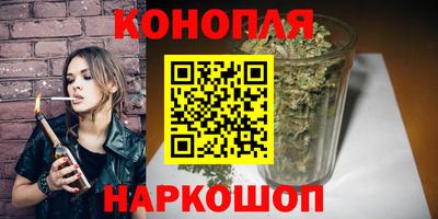 индика Дубна