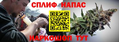индика Дубна