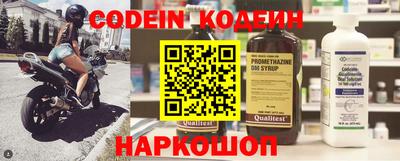 индика Дубна