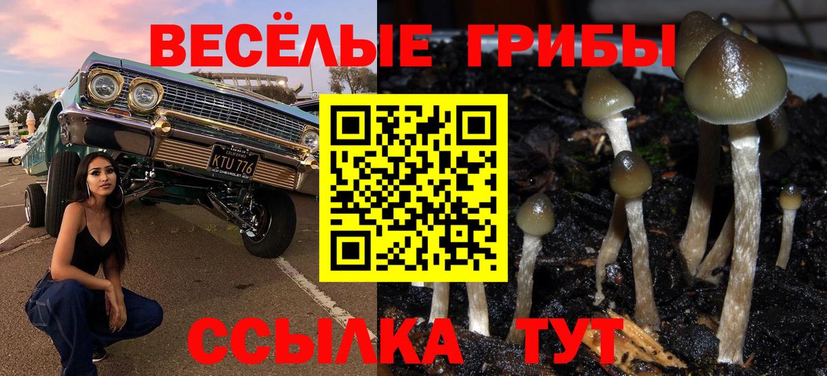 Галлюциногенные грибы мухоморы  Вход с VPN  Малоярославец 