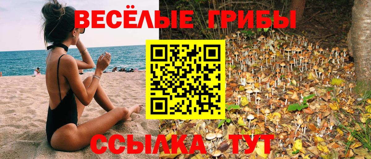 Галлюциногенные грибы мицелий Малоярославец